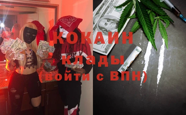 PSILOCYBIN Алзамай
